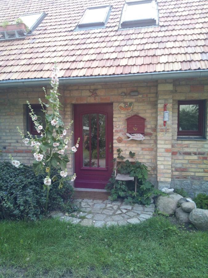 Appartement Hofboddenblick à Kuckenshagen Extérieur photo
